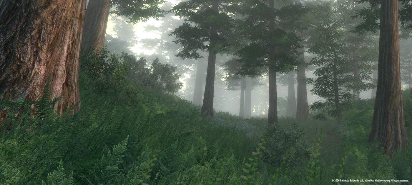 The Elder Scrolls IV Oblivion GOTY - PC (Steam) — скриншот 1