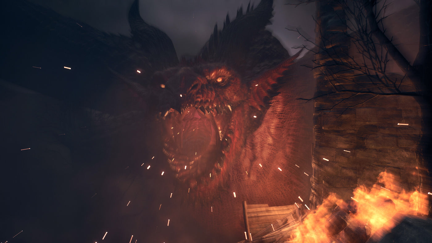 Dragon's Dogma 2 - PC (Steam) — скриншот 2