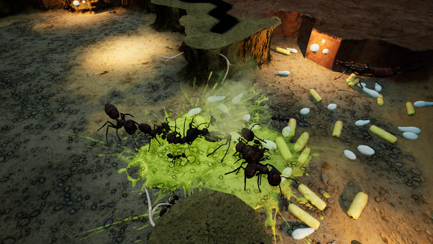 Empires of the Undergrowth - Exploding Ants DLC - PC (Steam) — скриншот 3