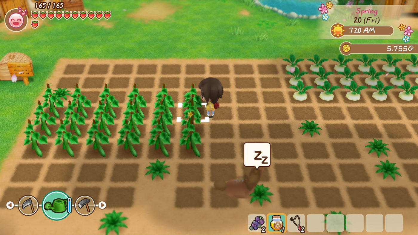 STORY OF SEASONS: Friends of Mineral Town - PC (Steam) — скриншот 3