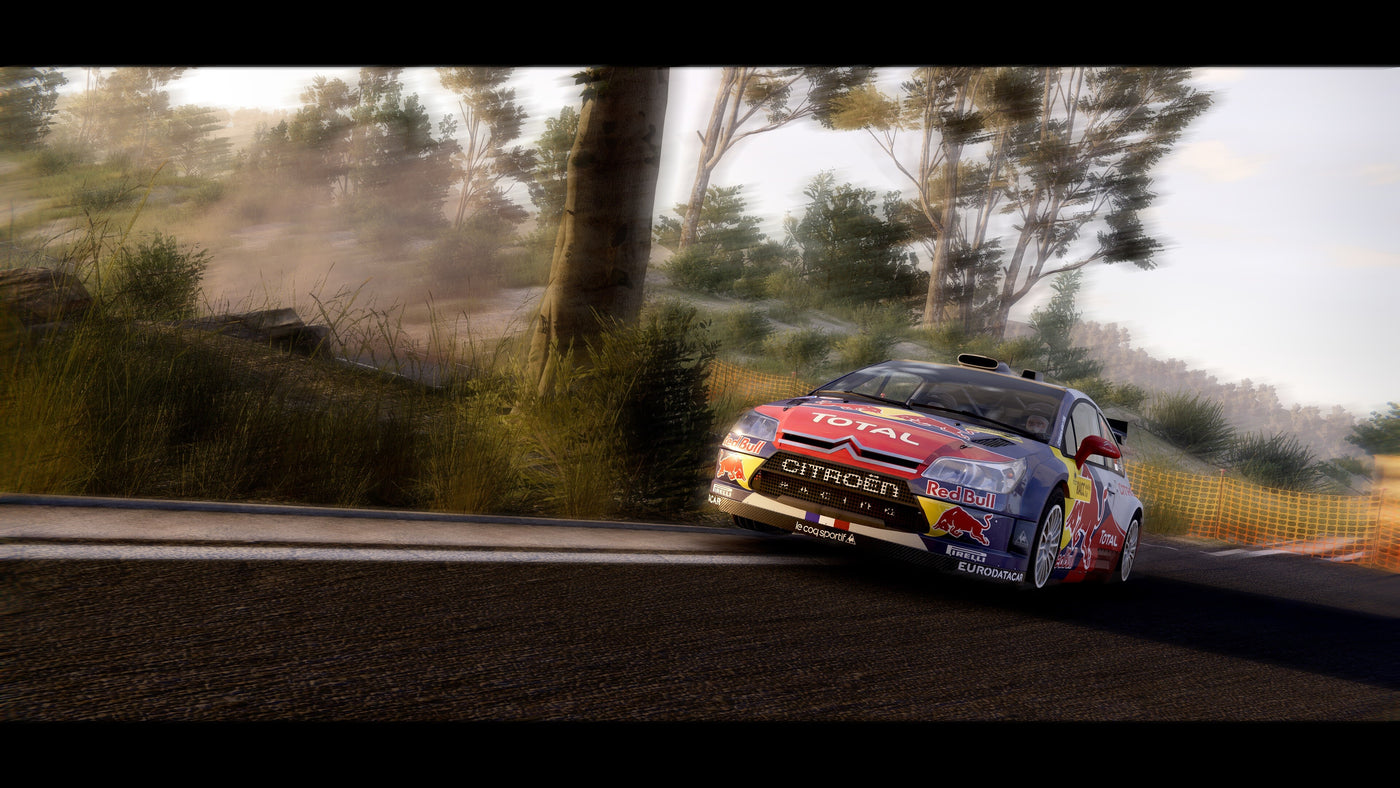 WRC Generations - Citroën C4 WRC 2010 DLC - PC (Steam) — скриншот 2
