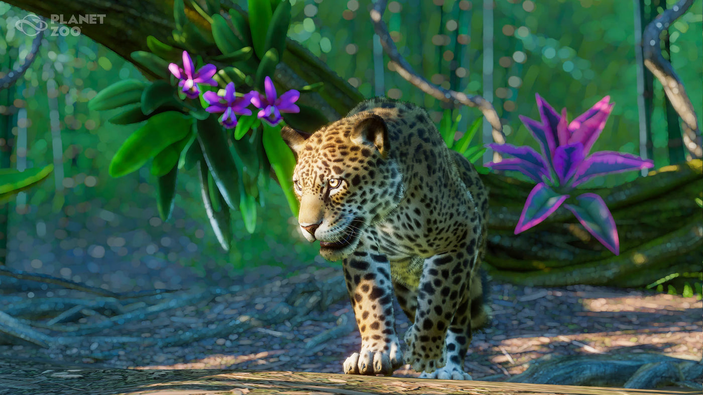 Planet Zoo: South America Pack DLC - PC (Steam) — скриншот 2