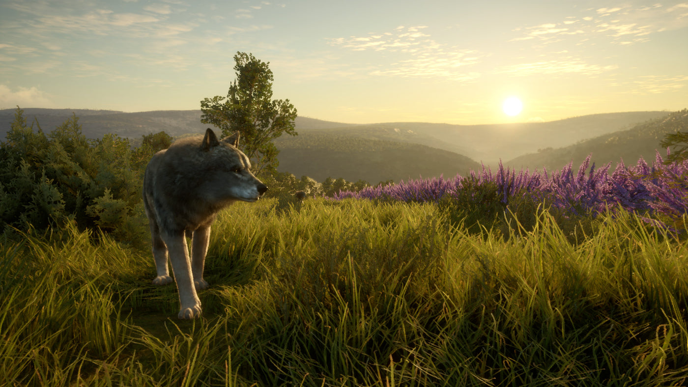 theHunter Call of the Wild - Cuatro Colinas Game Reserve DLC - PC (Steam) — скриншот 2