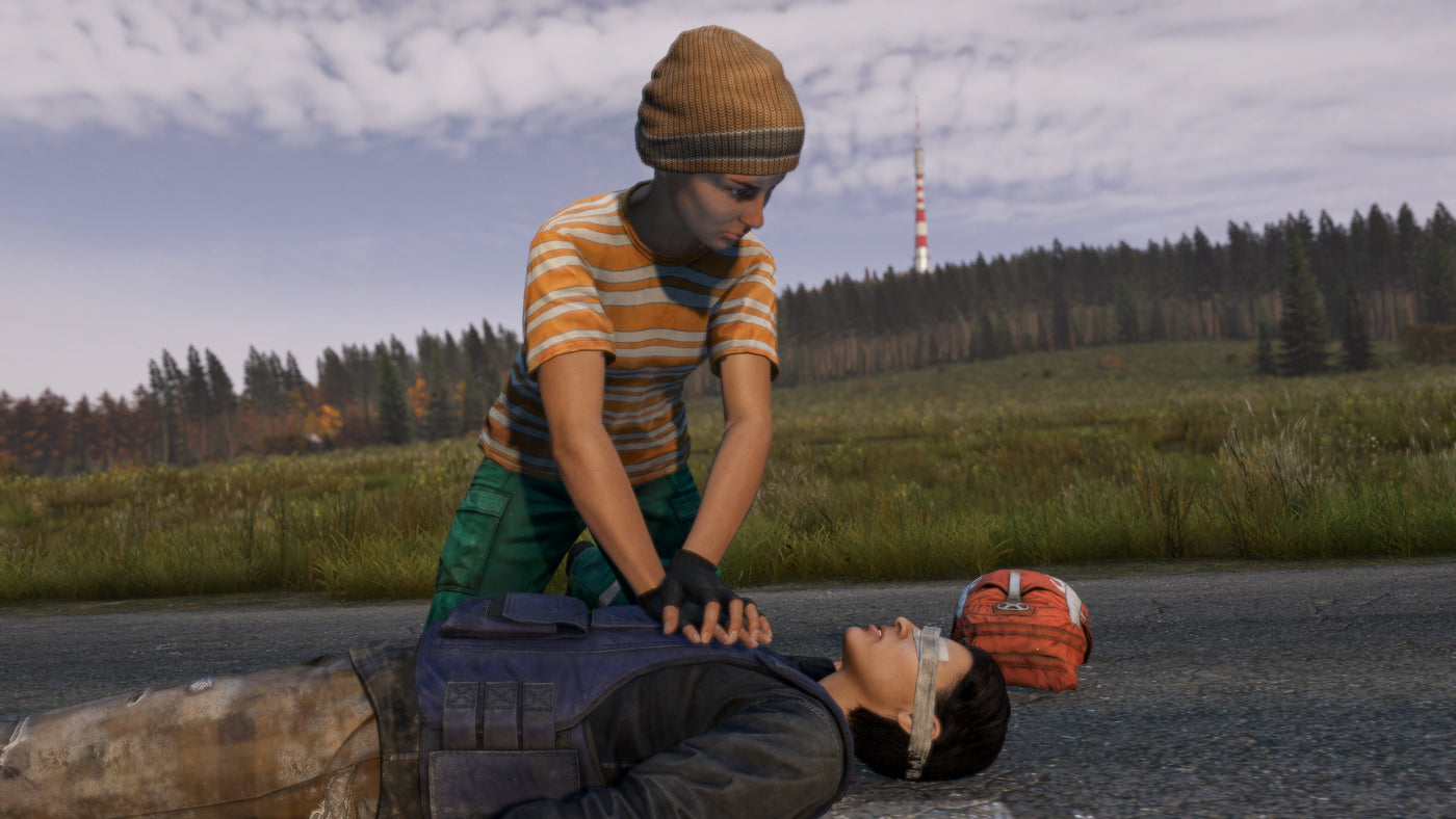 DayZ - PC (Steam) — скриншот 2