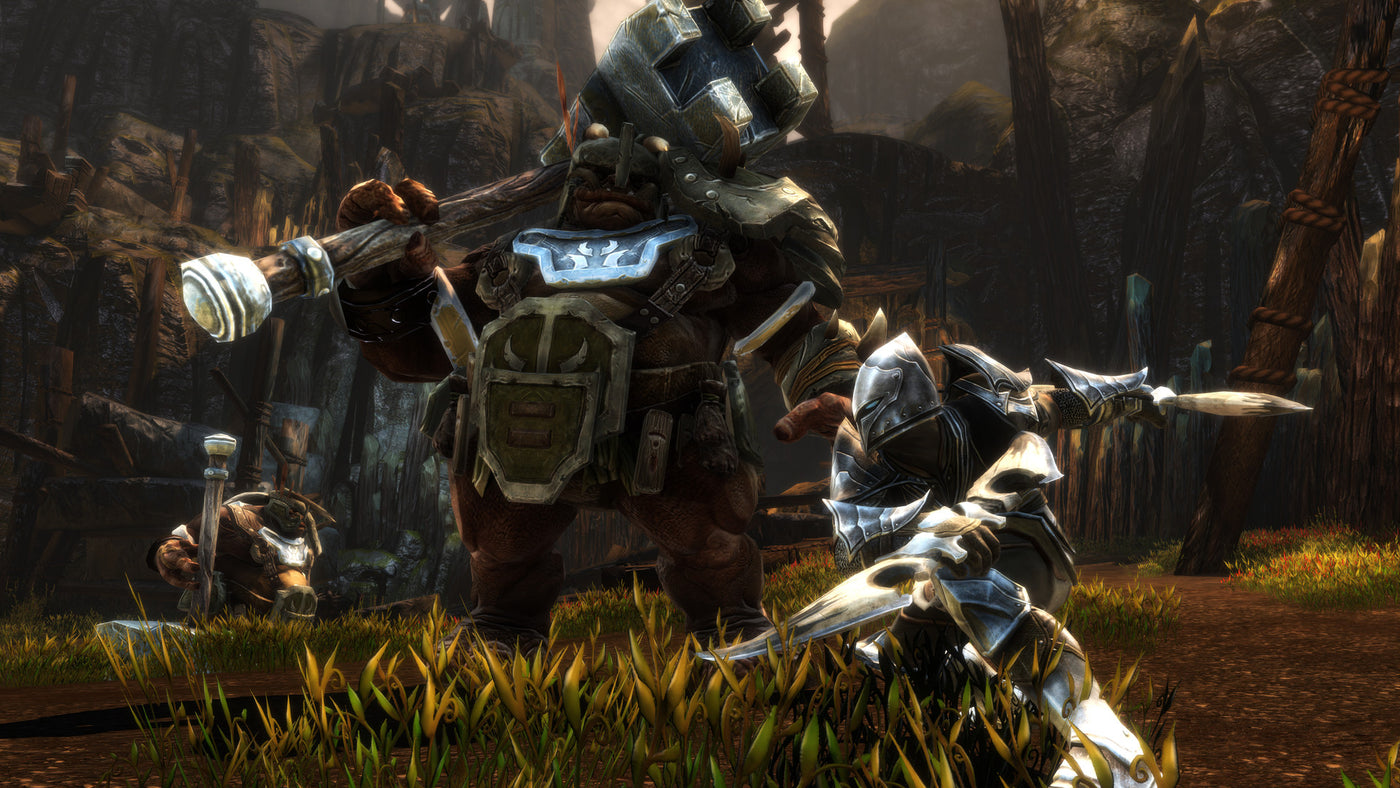 Kingdoms of Amalur: Re-Reckoning - PC (Steam) — скриншот 2