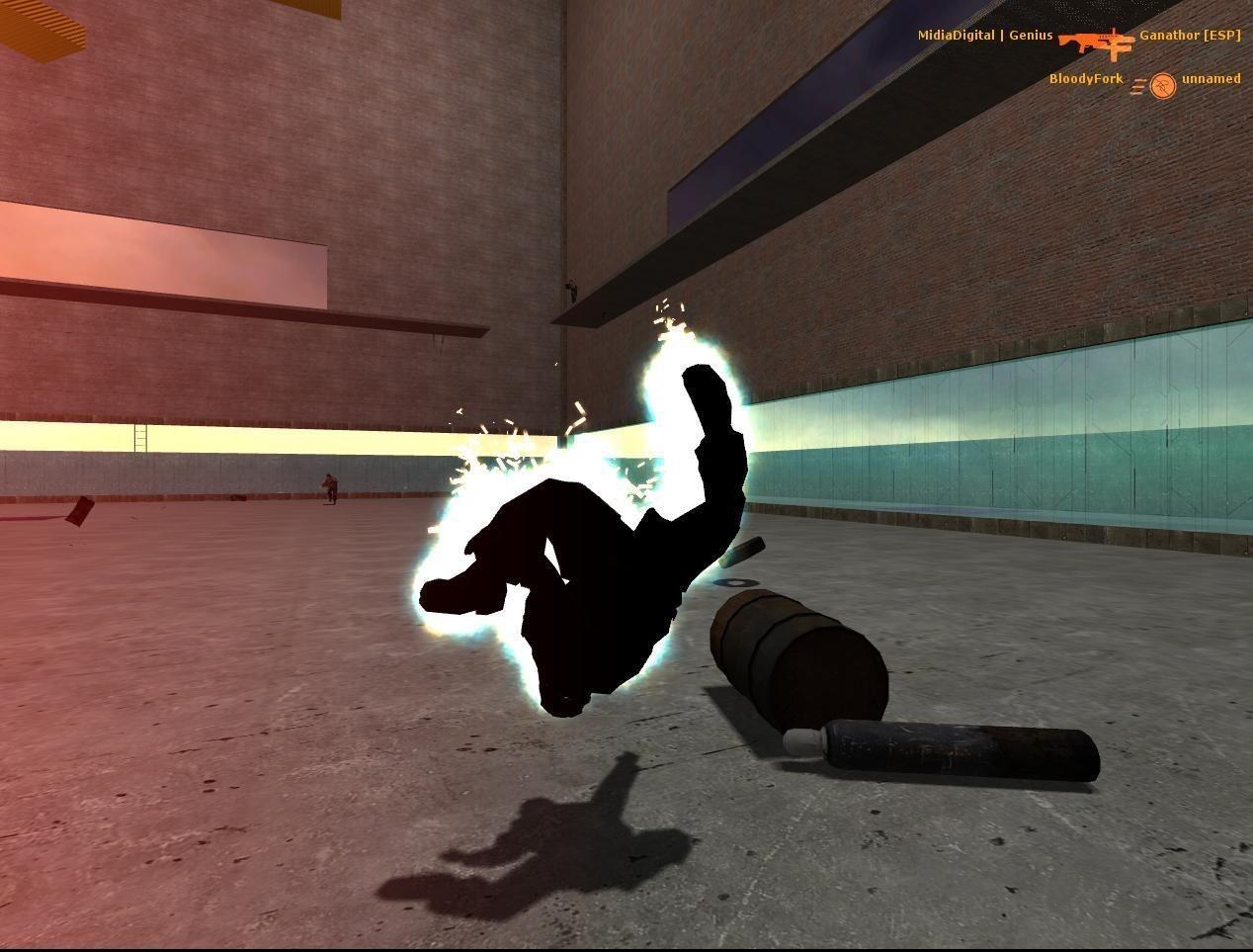 Half-Life 2: Deathmatch - PC (Steam) — скриншот 2