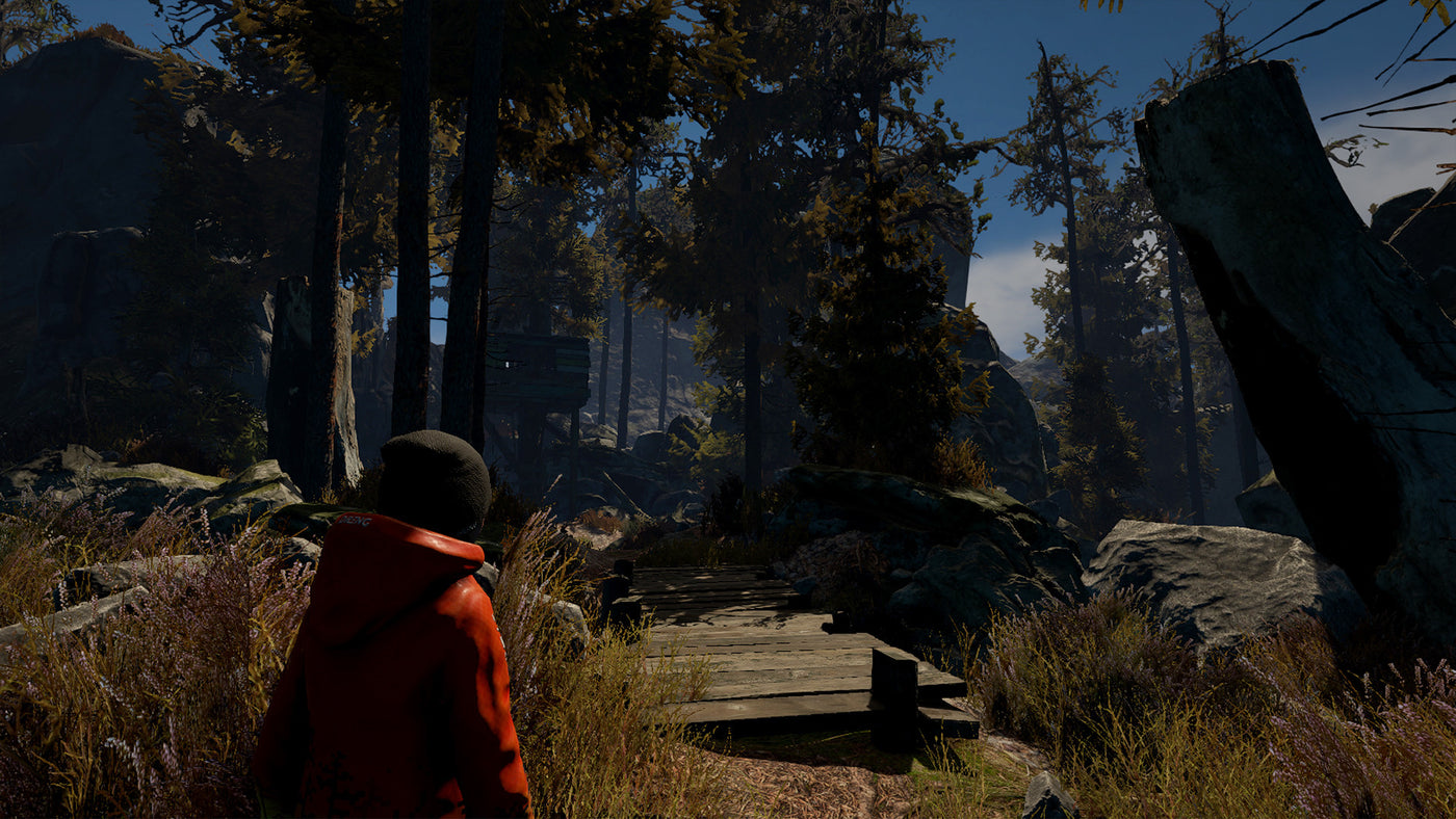 Through the Woods: Digital Collector's Edition - PC (Steam) — скриншот 3