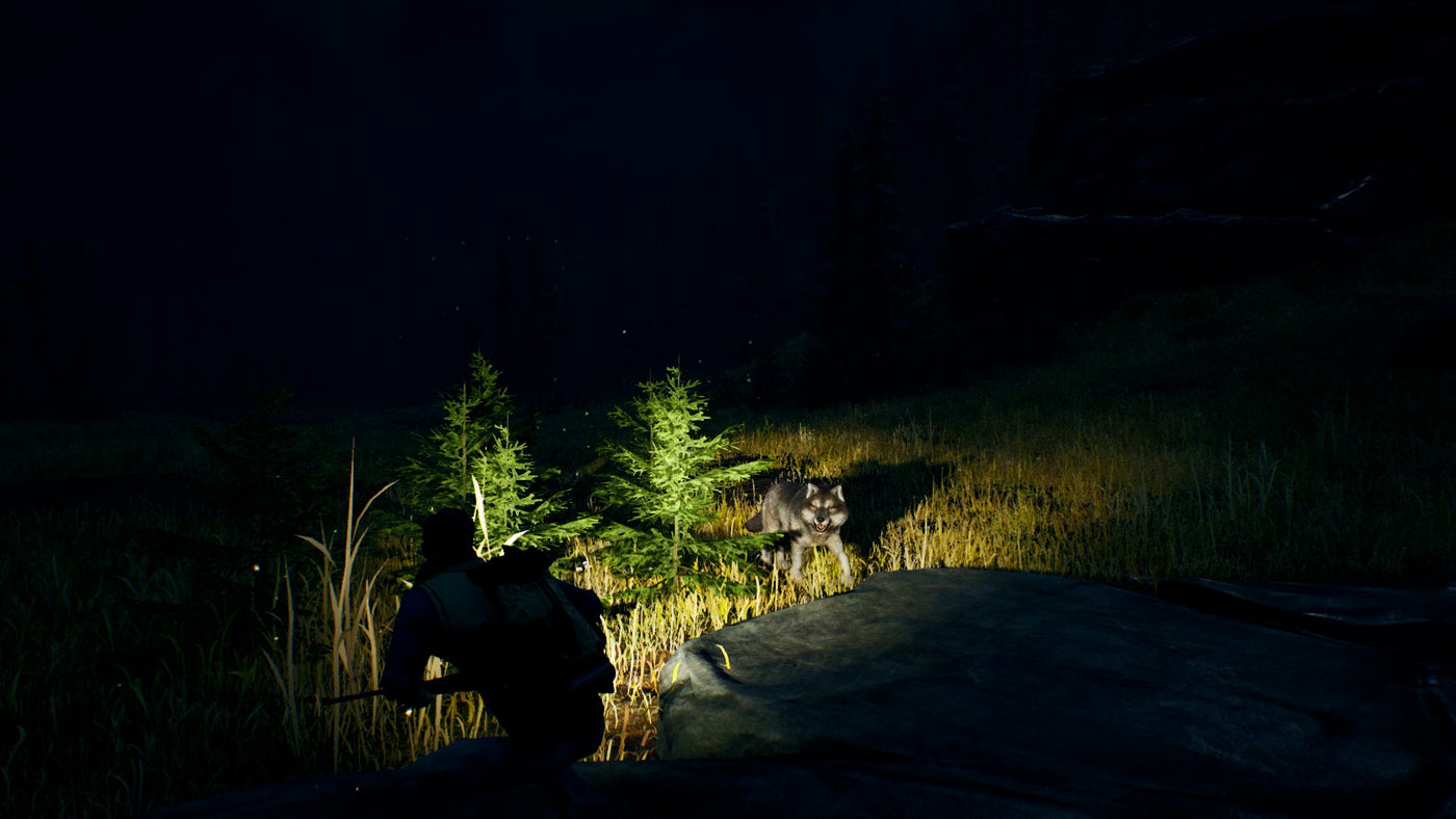 Open Country - PC (Steam) — скриншот 3