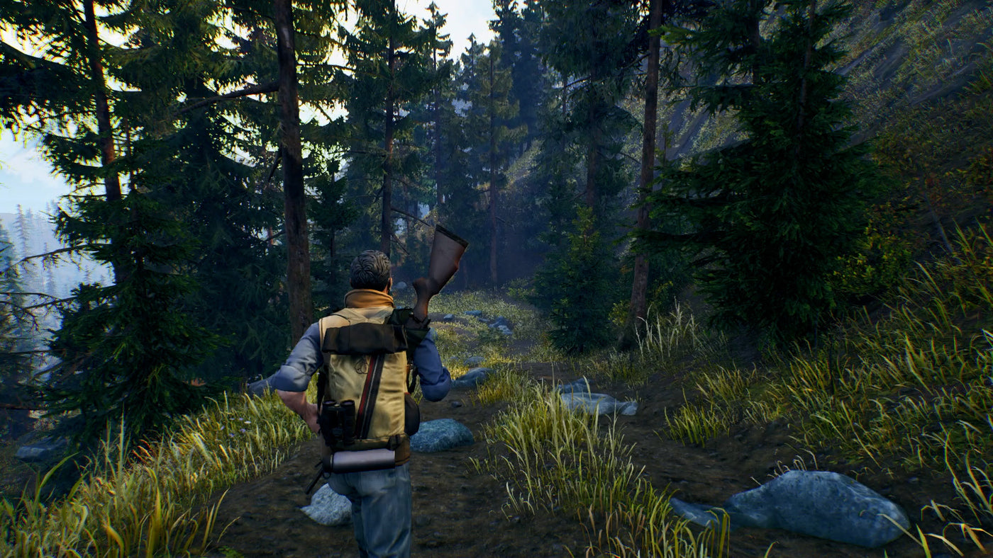 Open Country - PC (Steam) — скриншот 1