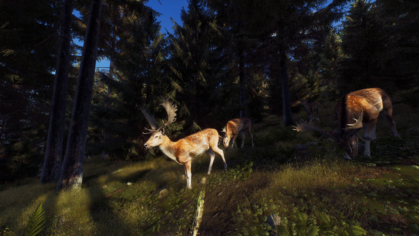 Way of the Hunter - Playstation 5 — скриншот 2