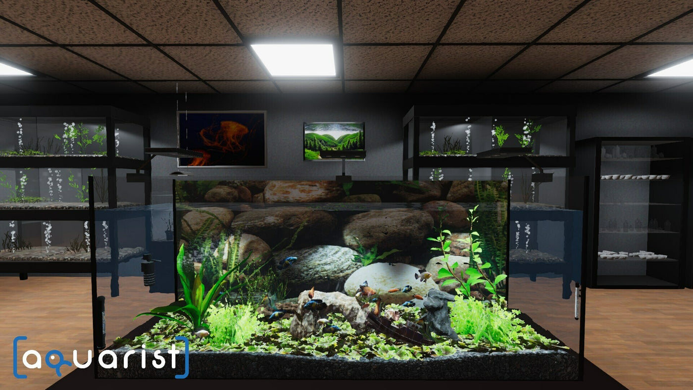 Aquarist - PC (Steam) — скриншот 1