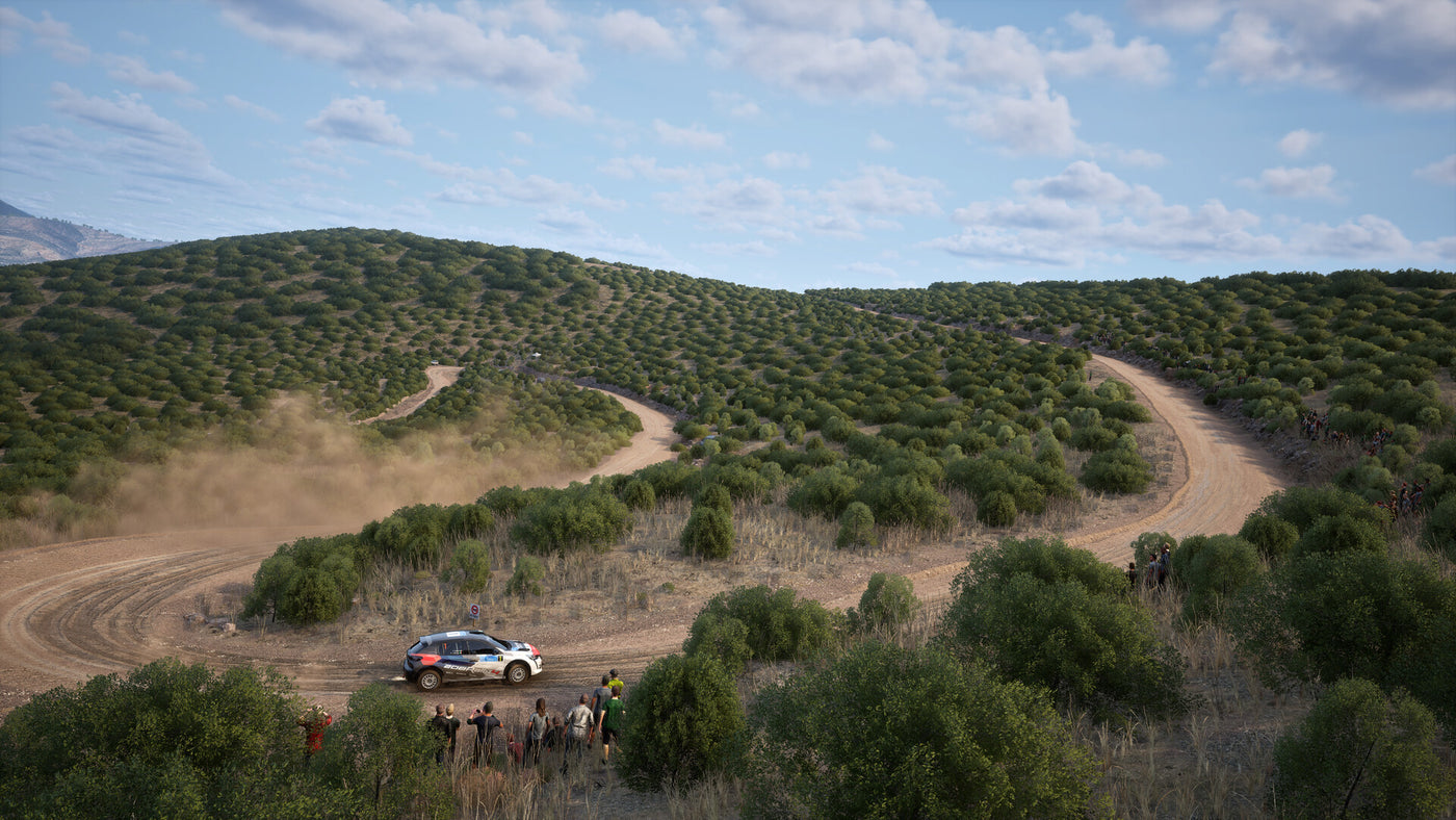 Assetto Corsa Rally - PC (Steam) — скриншот 3