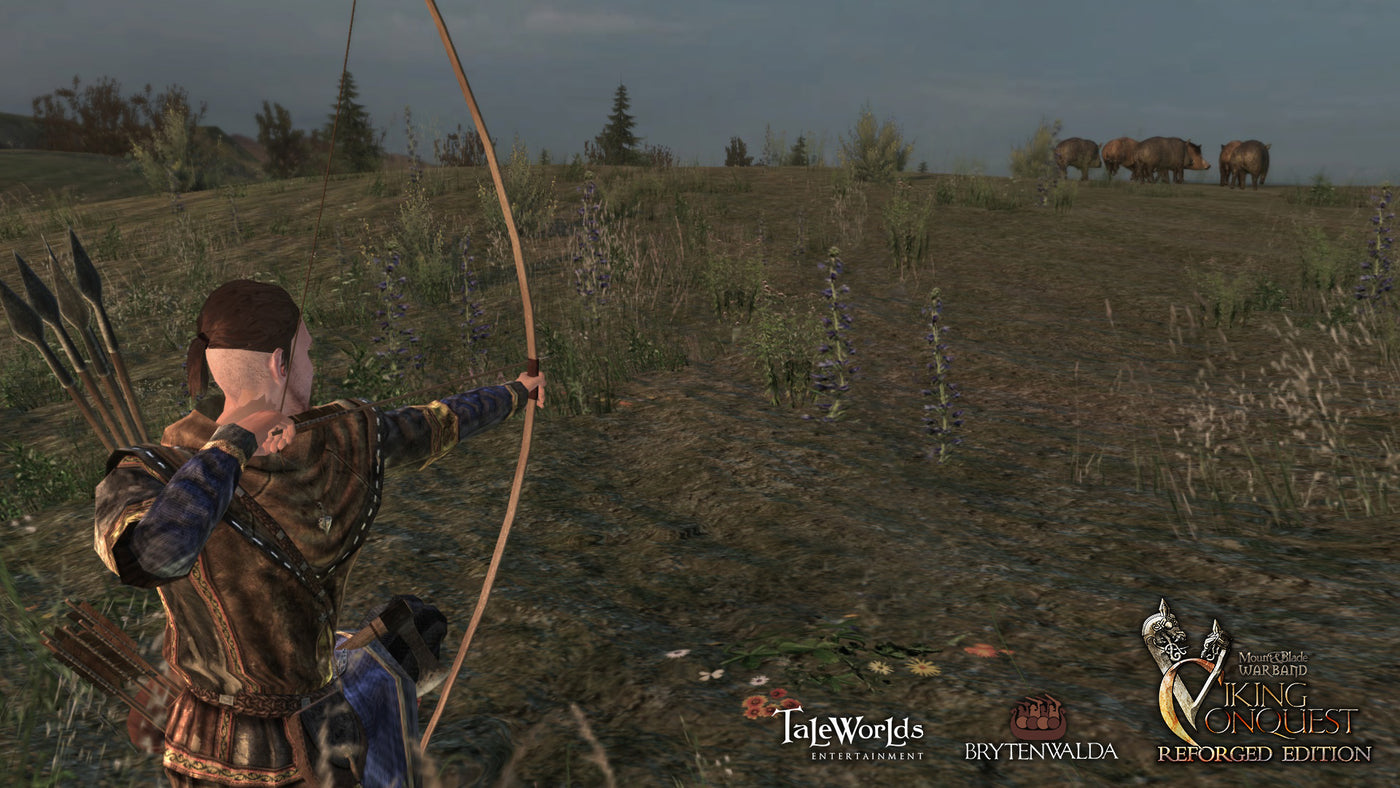 Mount & Blade Warband - Viking Conquest Reforged Edition DLC - PC (Steam) — скриншот 2