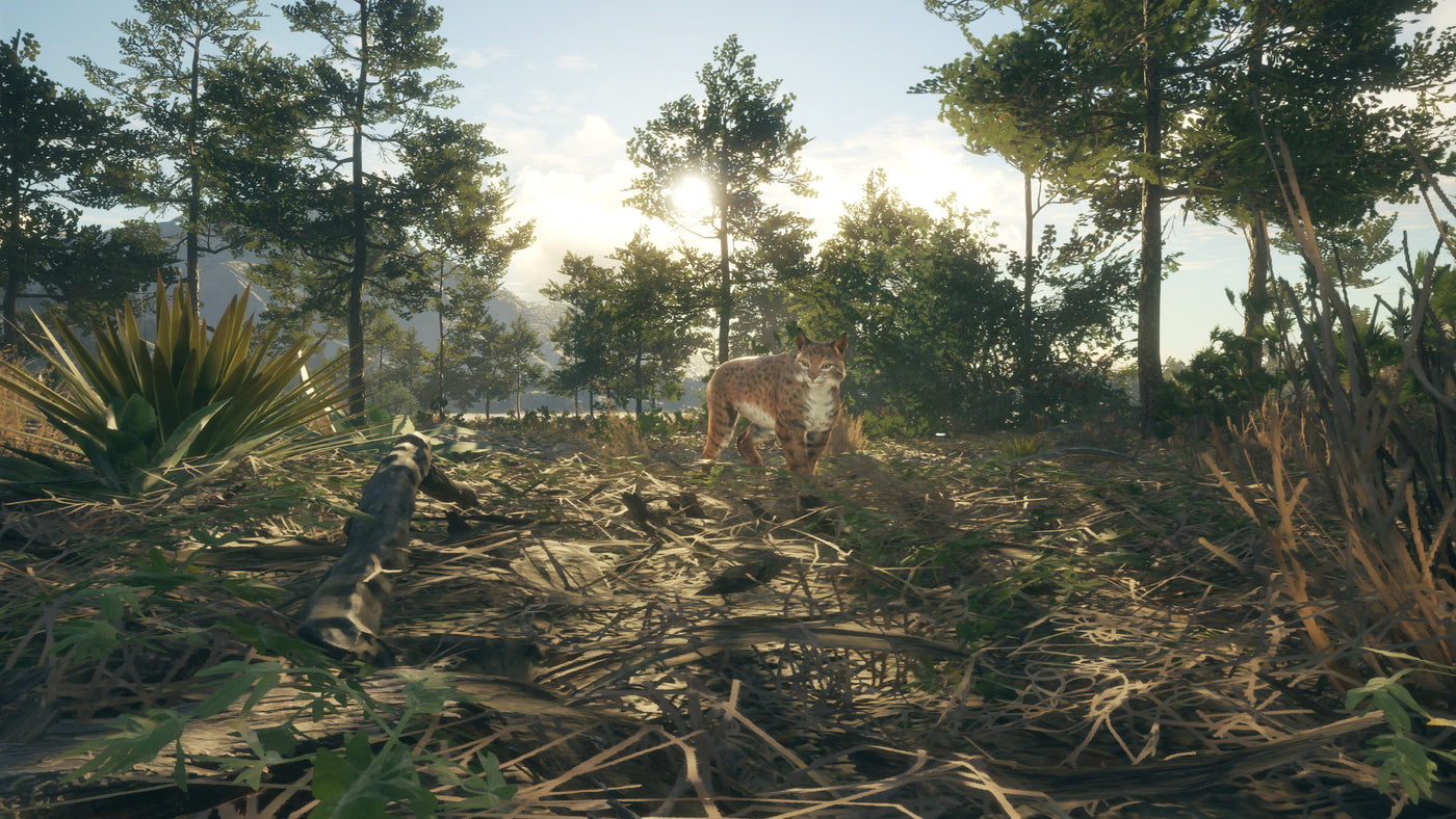 theHunter Call of the Wild - Rancho del Arroyo DLC - PC (Steam) — скриншот 2