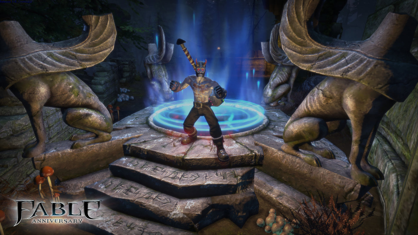 Fable Anniversary - PC (Steam) — скриншот 2