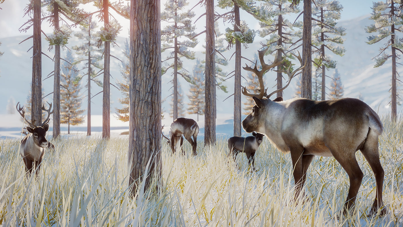 Planet Zoo: Arctic Pack DLC - PC (Steam) — скриншот 3