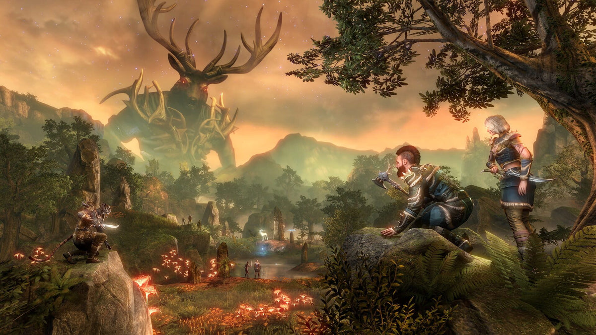 The Elder Scrolls Online (incl. Morrowind) - Elder Scrolls Online — скриншот 3
