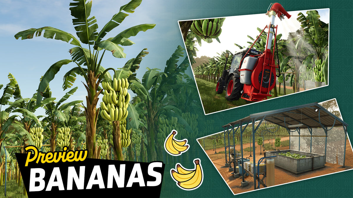 Crop Preview: Bananas | Beans & Alpacas