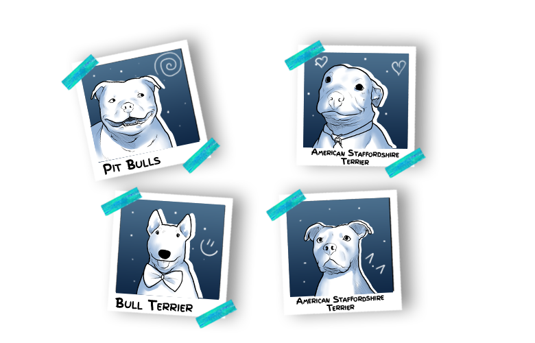 Bull-Type Terriers Dogs Pack AND Fluffy Cats Pack Incoming!