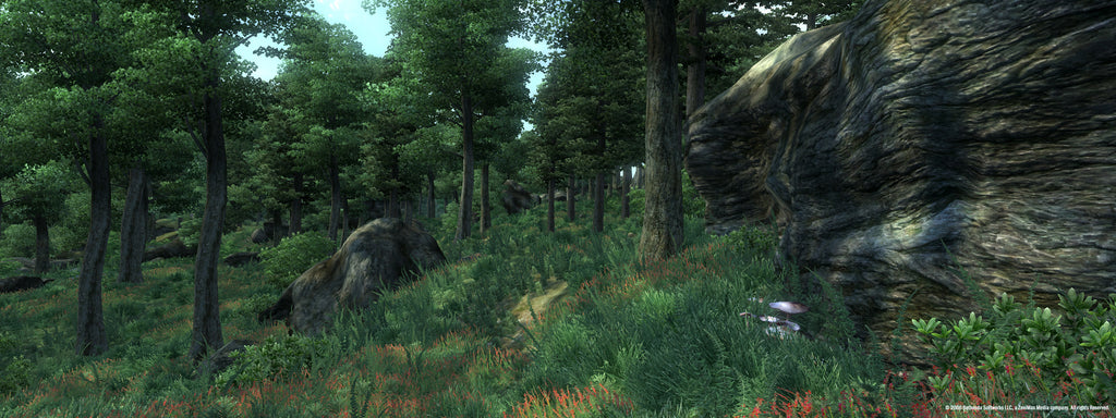 The Elder Scrolls IV Oblivion GOTY - PC (Steam) — screenshot 2