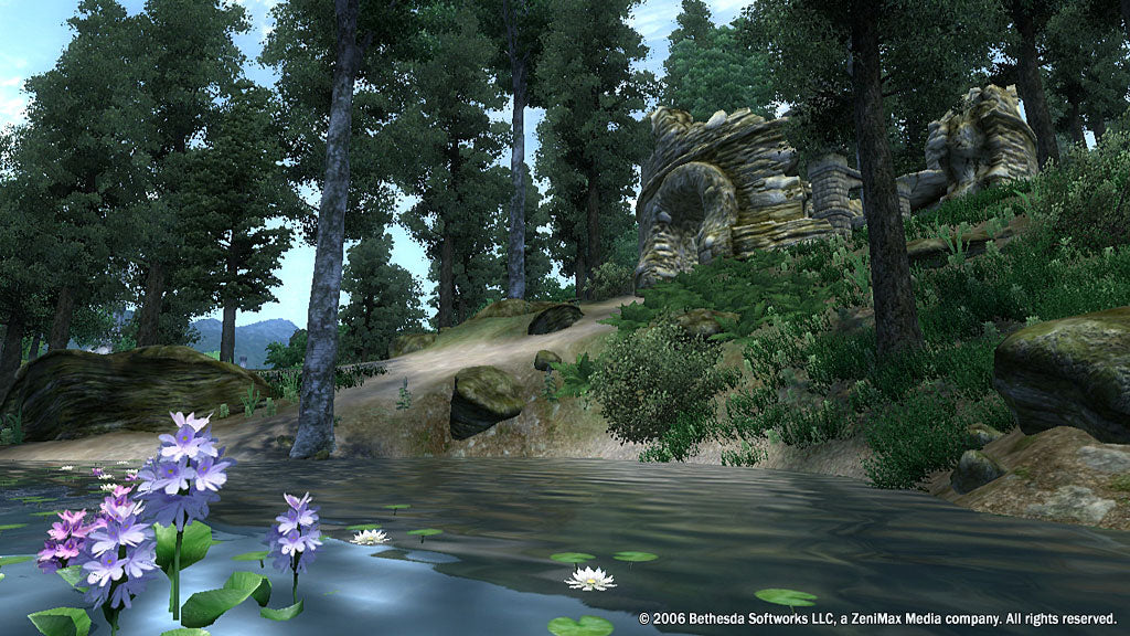 The Elder Scrolls IV Oblivion GOTY - PC (Steam) — скриншот 3