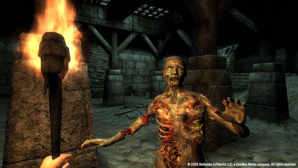 The Elder Scrolls IV Oblivion GOTY Deluxe - PC (Steam) — скриншот 2