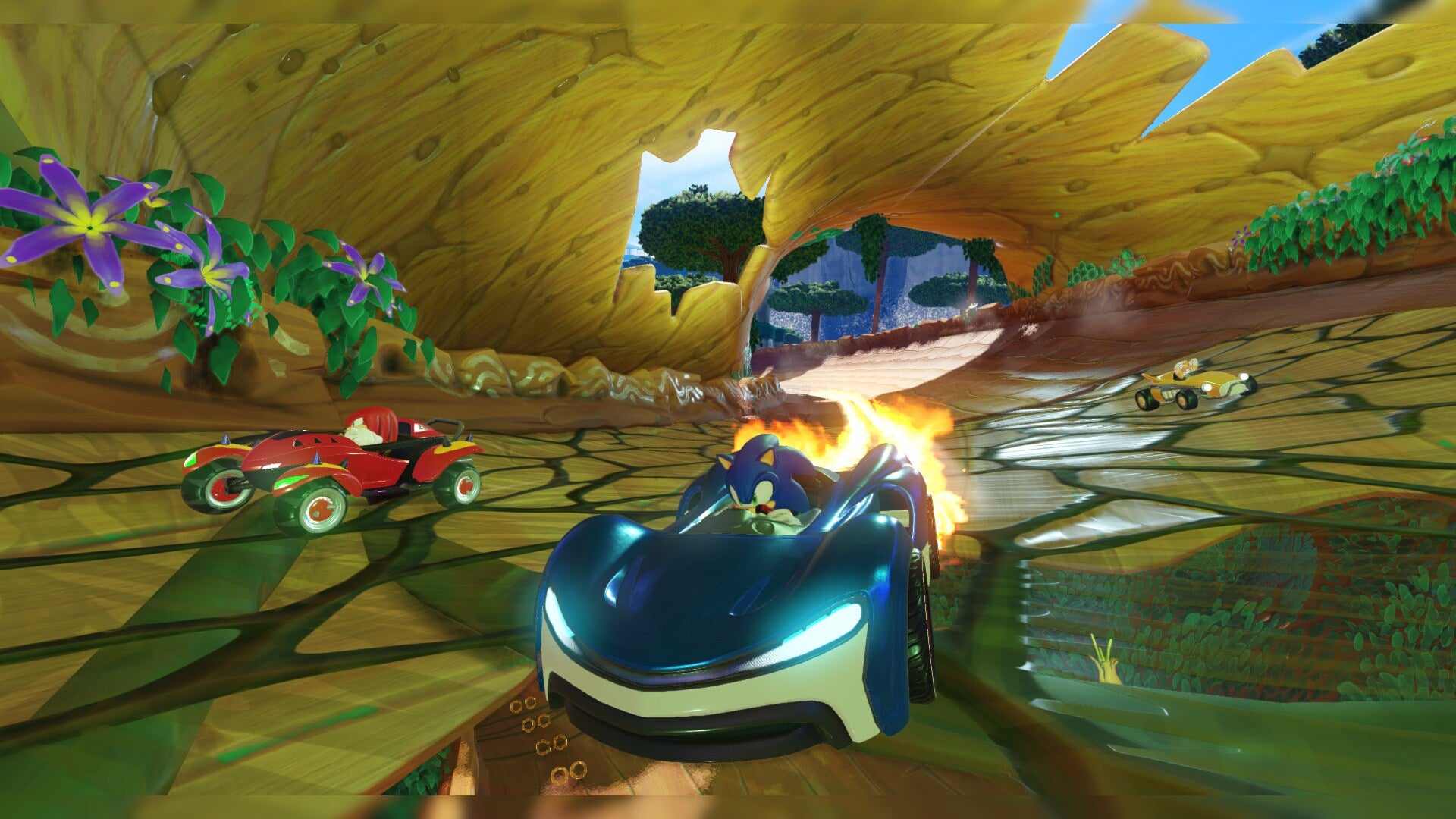 Team Sonic Racing - Nintendo Switch — screenshot 3