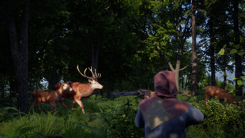 Medieval Dynasty - Playstation 5 — screenshot 1