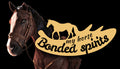My Horse: Bonded Spirits - PC (Steam)