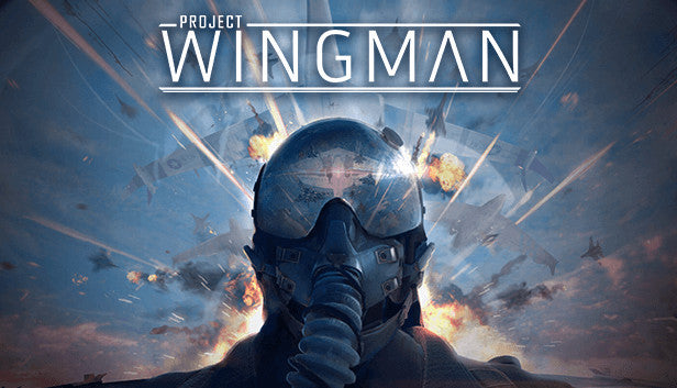 Project Wingman - PC (Steam)