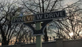 Pineview Drive - PC (Steam)