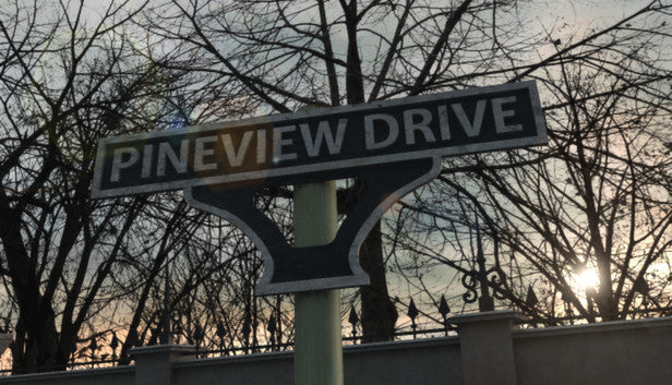 Pineview Drive - PC (Steam)