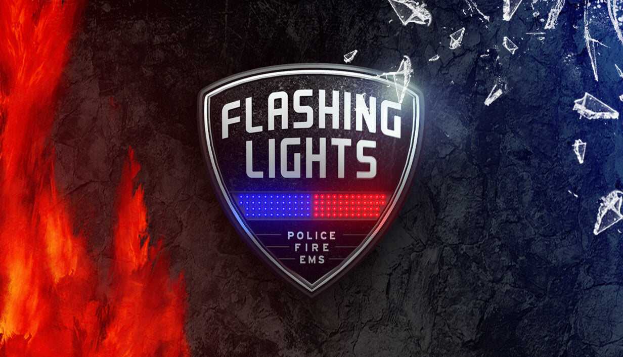 Flashing Lights Police Fire EMS - PC (Steam)