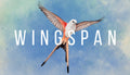 Wingspan - PC (Steam)