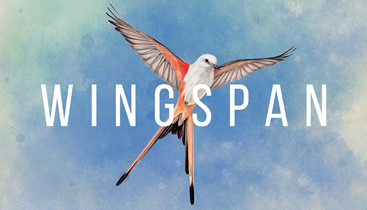 Wingspan - PC (Steam)