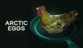 Arctic Eggs - PC (Steam)