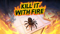 Kill It With Fire - PC (Steam)