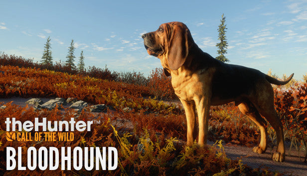 theHunter Call of the Wild - Bloodhound DLC - PC (Steam)
