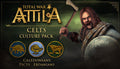 Total War Attila - Celts Culture Pack DLC - PC (Steam)