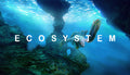 Ecosystem - PC (Steam)