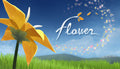 Flower - PC (Steam)