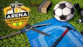Arena Renovation - PC (Steam)