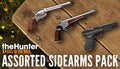 theHunter: Call of the Wild - Assorted Sidearms Pack - PC (Steam)