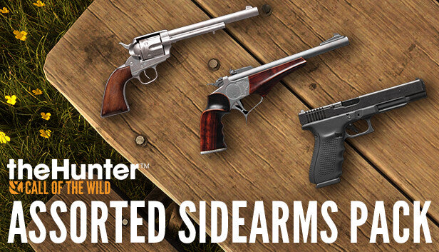 theHunter: Call of the Wild - Assorted Sidearms Pack - PC (Steam)