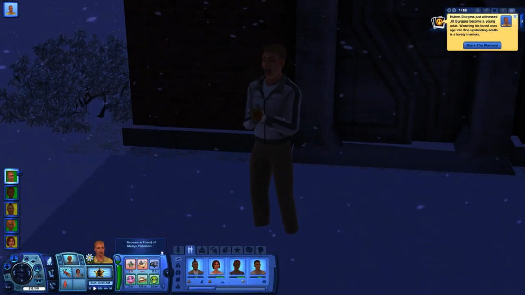 The Sims 3 Starter Pack - PC (EA) — screenshot 3
