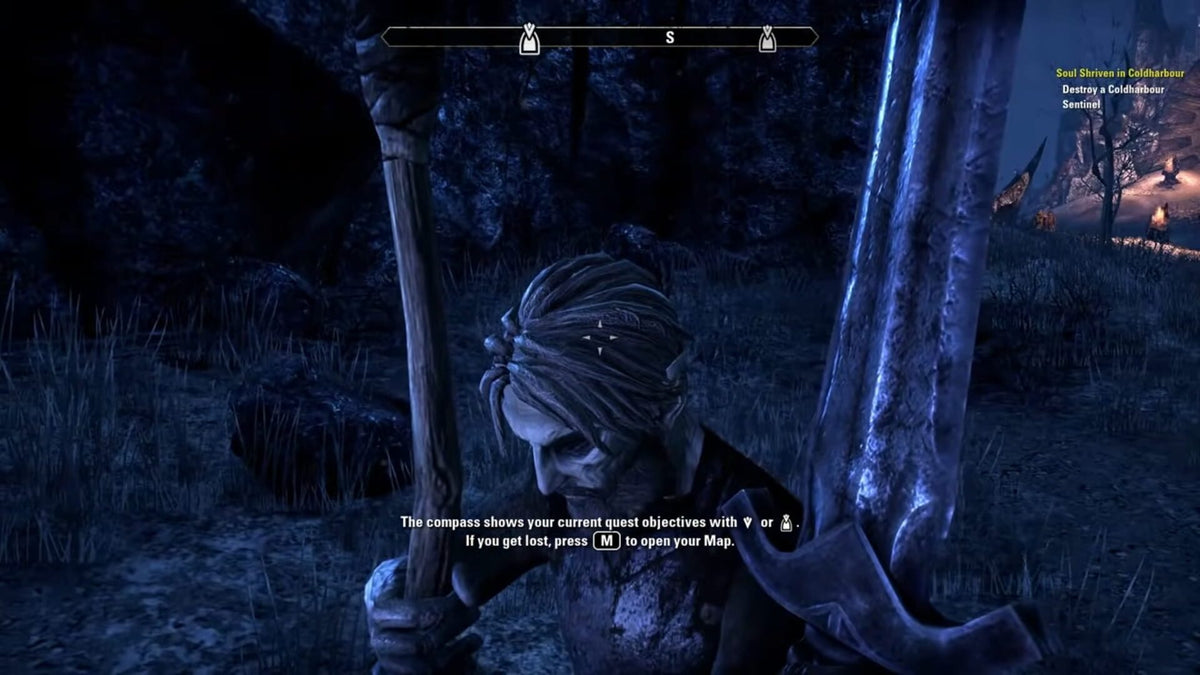 The Elder Scrolls Online Premium Edition - Elder Scrolls Online — screenshot 1