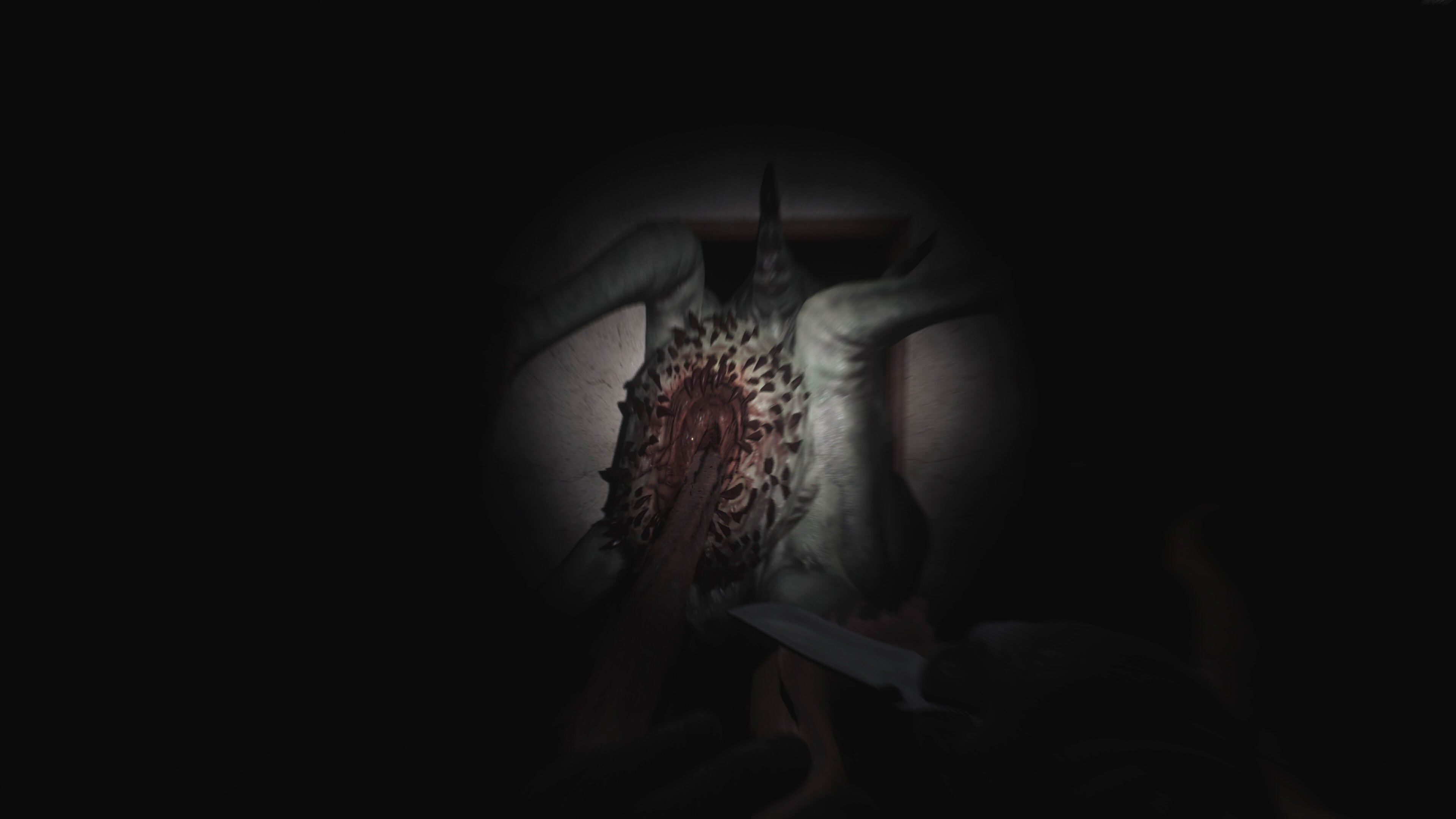 SCP: 5K - PC (Steam) — screenshot 3
