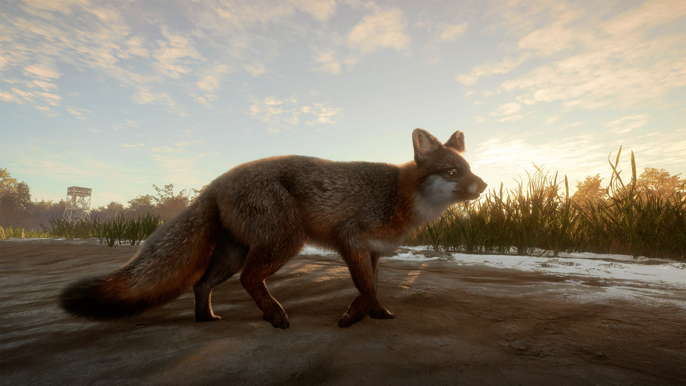 theHunter Call of the Wild - Mississippi Acres Preserve DLC - PC (Steam) — скриншот 3