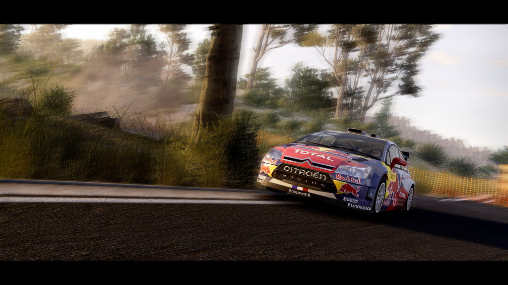 WRC Generations - Citroën C4 WRC 2010 DLC - PC (Steam) — screenshot 2