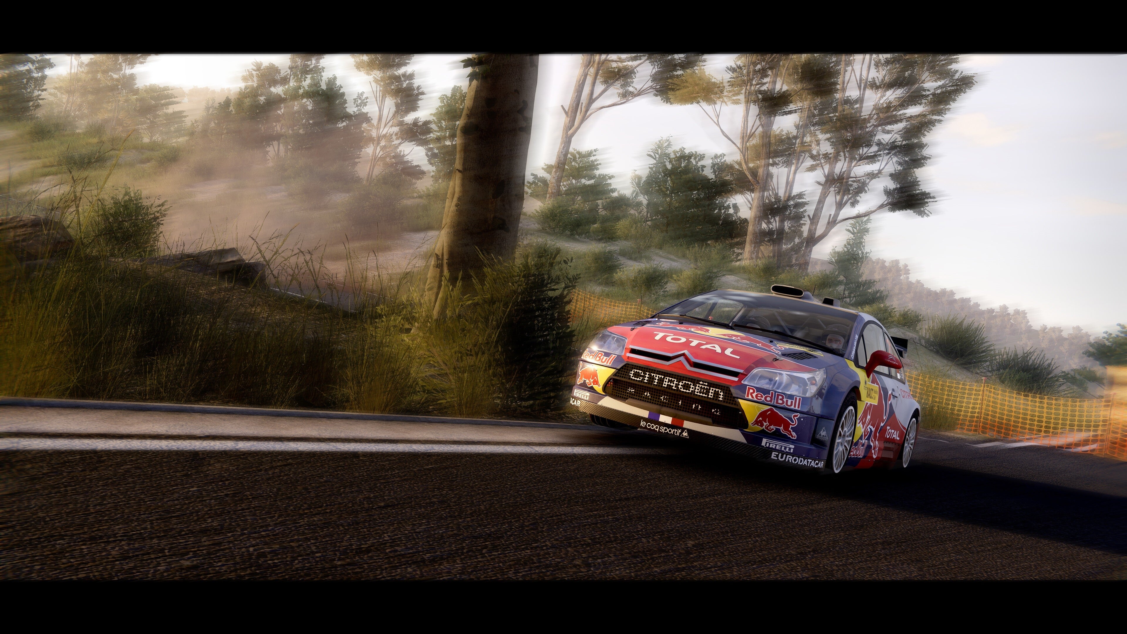 WRC Generations - Citroën C4 WRC 2010 DLC - PC (Steam) — screenshot 2